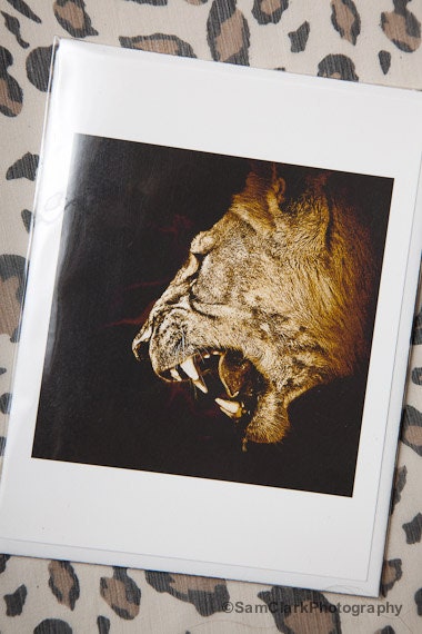 LION Card, Inspirational words, inspirational card, Blank greeting card, African card, Greeting card, animal card, safari card