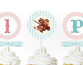 Teddy Bear Picnic (blue/pink) - Custom Printable Party CIRCLES- Teddy Bear party, Picnic Il_170x135