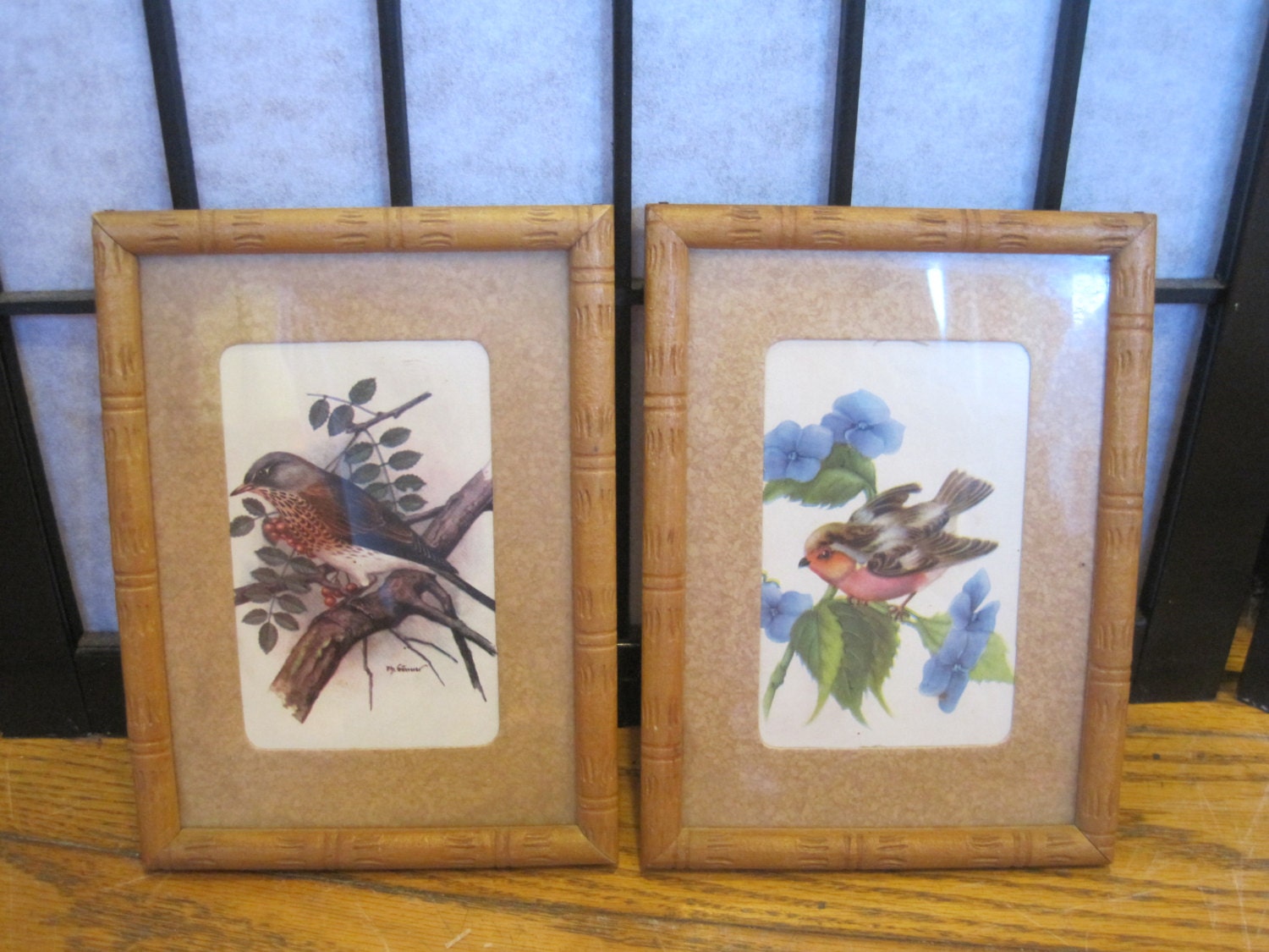 Vintage Bird Print in Frame 2 A Pair of Matching Prints Two 5 by 7 Inches
