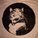 FITTED Fatty the Cat Shirts