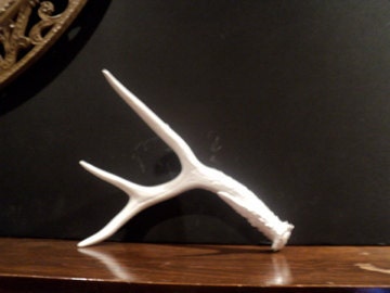 Bright White Modern Painted Antler