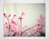 Pink Nature Photography / delicate dreamy abstract macro plant / blush cream white leaves / 8x10 photograph print / "Winter Blush"