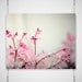 Winter Nature Photography - 8x10 photograph print - delicate dreamy pink tipped white leaves wall decor art print 'Winter Blush'