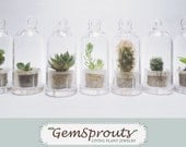 Wearable Plant - Secret Suprise Dome GemSprout Pendant