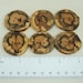 6 Handmade Rustic Spalted Wood Buttons 1 1/4 inch 32mm