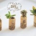 DIY Succulent Mini Garden Wine Corks, Zen Writing, Succulent Plants, Decorated Corks