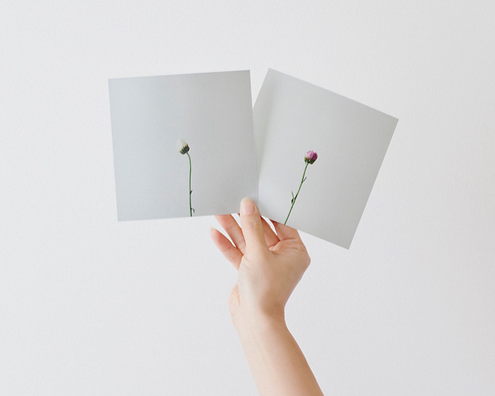 Kin I and II - Flowers 5x5 inch Photography Set