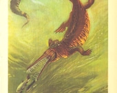 Mesosaurus Vintage Print, Prehistoric Animal,  Extinct Reptile Early Permian