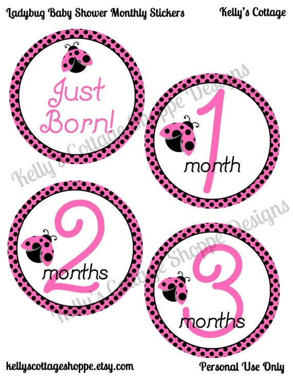 Instant Download Printable Ladybug Baby Monthly Stickers and Tags for Onesies and Scrapbooks Il_570xn