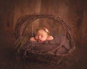 woodland Fairy  : Newborn Headband  - Brown - Newborn Photo Prop -  halo,  flower headband, head band