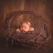 woodland Fairy  : Newborn Headband  - Brown - Newborn Photo Prop -  halo,  flower headband, head band
