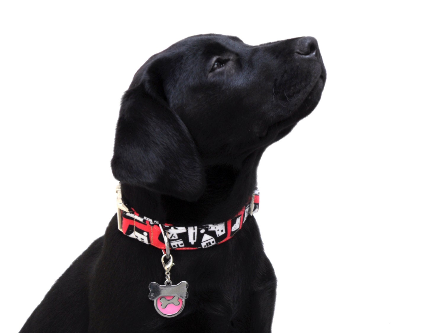 URBAN in PINK Dog Collar HANDMADE
