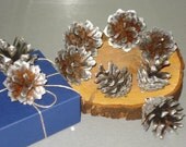 Real Pine cone Ornament with hook Set of 9, DIY craft supplies ECO Home Holiday Decor Children Kids Wedding Party favors Nursery, Gift ideas