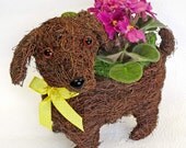 PITTER PATTER PLANTER - tabletop display, unique gift idea, rattan planter, mothers day gifts