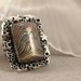 Silver Fordite Stars Ring Handmade St. Louis Plant