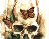 watercolor skull and butterfly - 18x24cm
