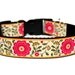 Flower Dog Collar 1" Side Release Pink Green Yellow Matching Flower Add-on Available