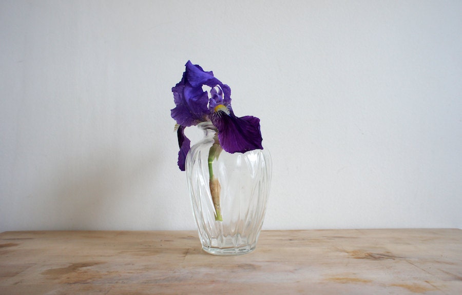 Vintage French Bud Vase //  1950 // Clear Glass // cottage // shabby chic // french country // Purple Iris Floral Flower Garden