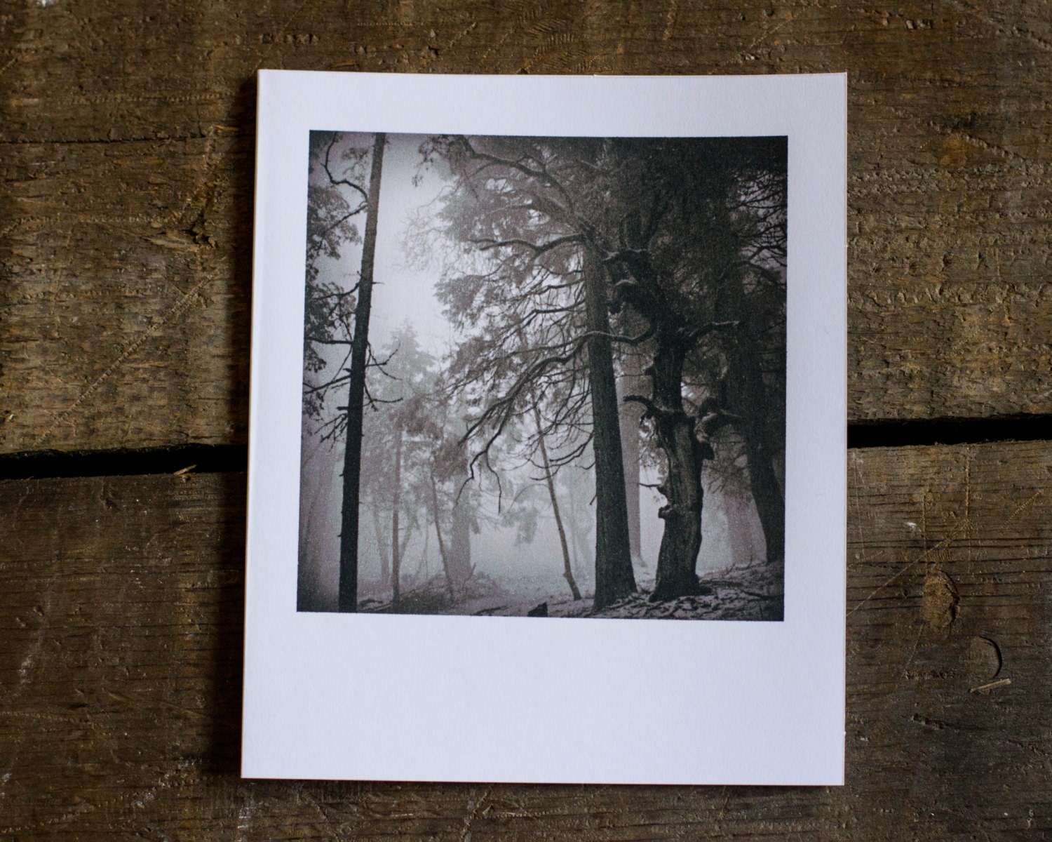 Polaroid Film Photography - Blank Polaroid Card - Black and White Photography - Paper Goods - Winter - Forest - Fog - Blank Cards - Set of 4
