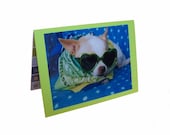 Chihuahua Greeting Card, Fun Dog Card