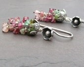 Watermelon Tourmaline Earrings