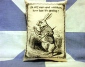 Alice In Wonderland Rabbit Late Cushion Pillow