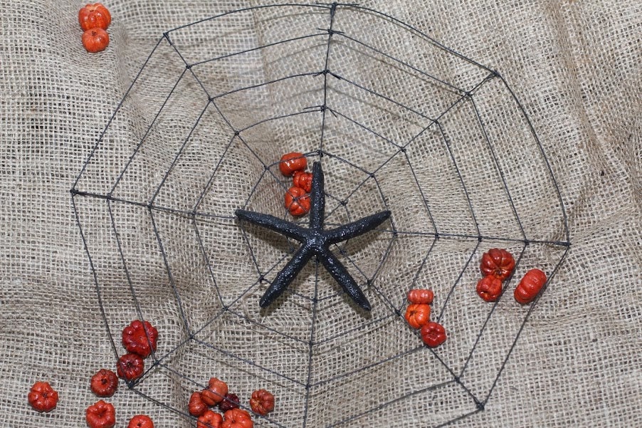 Halloween - Spider web with starfish "spider"