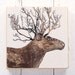 Original Painting Artwork - Wooden Block - Home Decor Gift- Handmade : drawing-painting-photo --- DEER ---