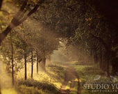 Fall Photography, Autumn Golden Forest, Dreamscape, Woodland, Path, Magical, Trees, Enchanted, Fairytale - To the Shire