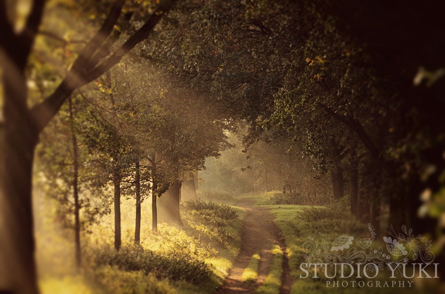 Fall Photography, Autumn Golden Forest, Dreamscape, Woodland, Path, Magical, Trees, Enchanted, Fairytale - To the Shire
