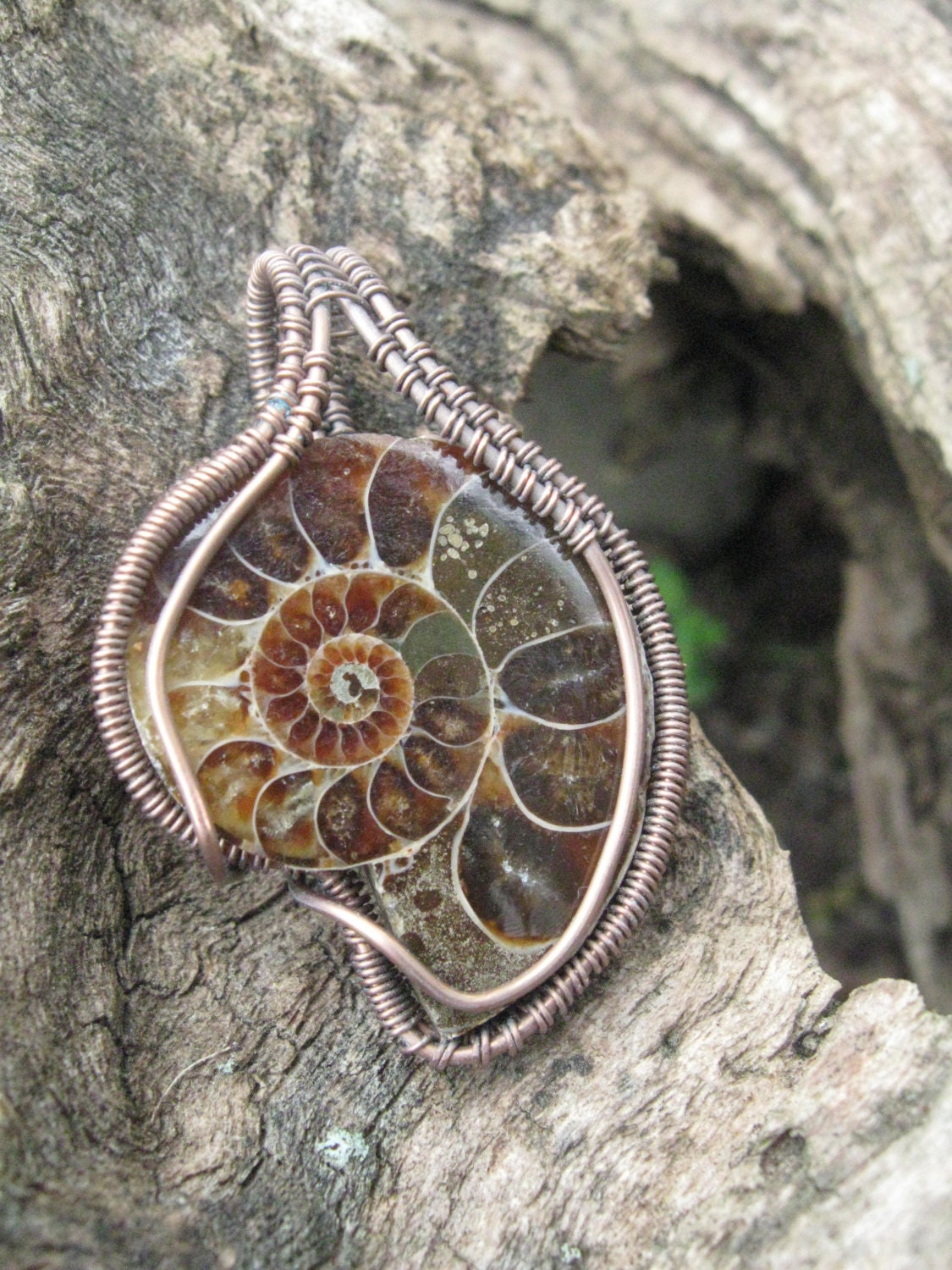 Ammonite Artisan Wire Wrapped Antiqued Copper Pendant