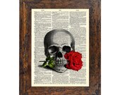 Skull Series - A Rose For the Dead Original Print on an Unframed Upcycled Bookpage