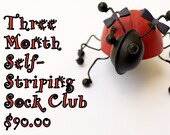 Three Month Self Striping Sock Club