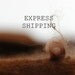 Express shipping