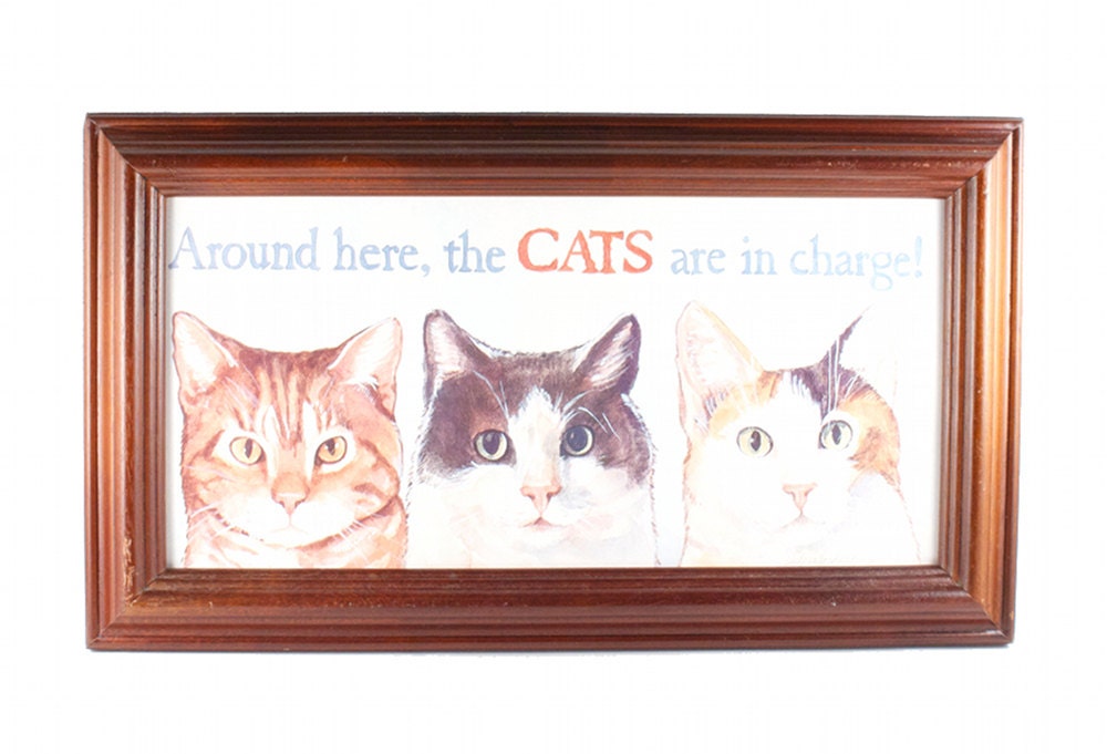Cats Rule Vintage Wall Hanging Framed Picture Hipster Kitsch Decor / 90s
