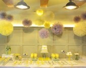 30 Tulle poms all sizes