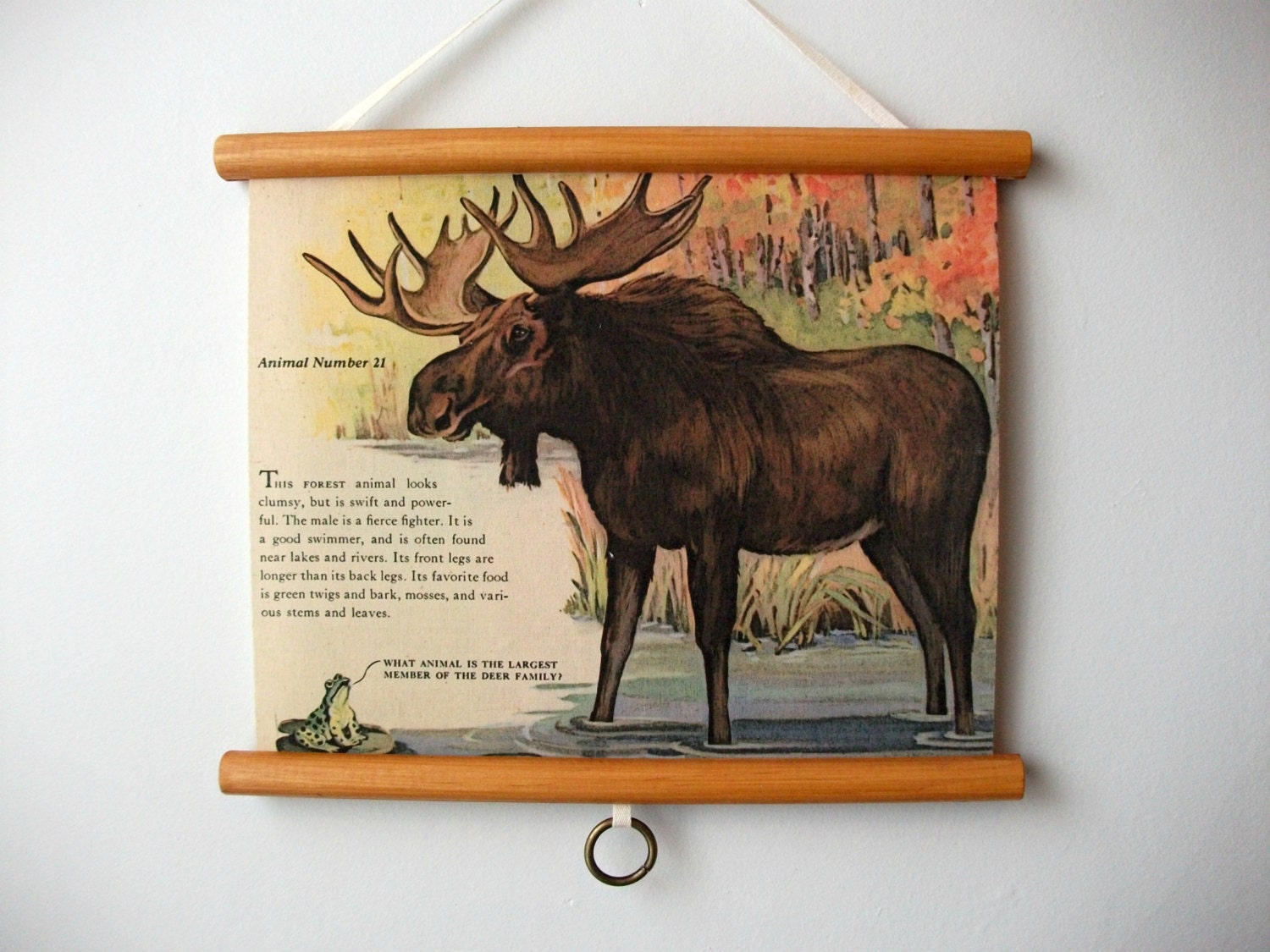 Mini Printed Fabric Vintage Style School Chart with Wood Trim - Moose (11" x 9")