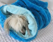 Snuggie Sack/Blanket