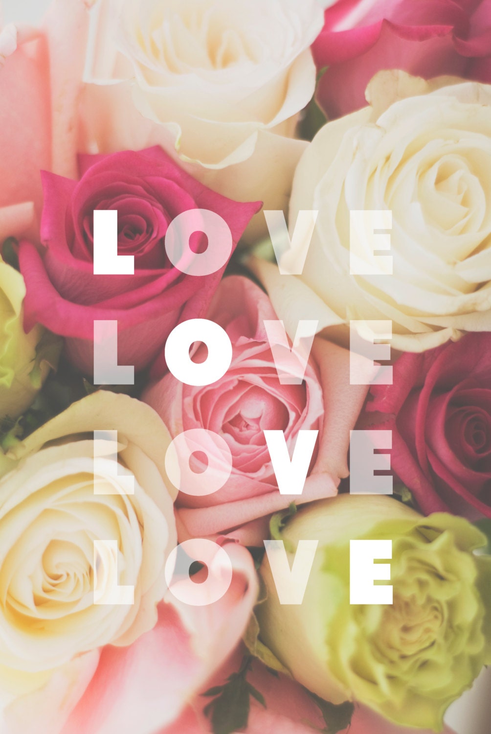 Fine Art Photography -  love flowers roses pink green spring 8x10 photograph typography prints wall art home decor