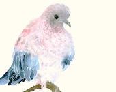 Watercolor Artwork - Bird of Love