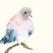 Watercolor Artwork - Bird of Love