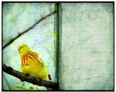 Journal Page Download for scrapbooking & art collages, Photo Art 8x10 inch Yellow Bird, little bird, green,aqua