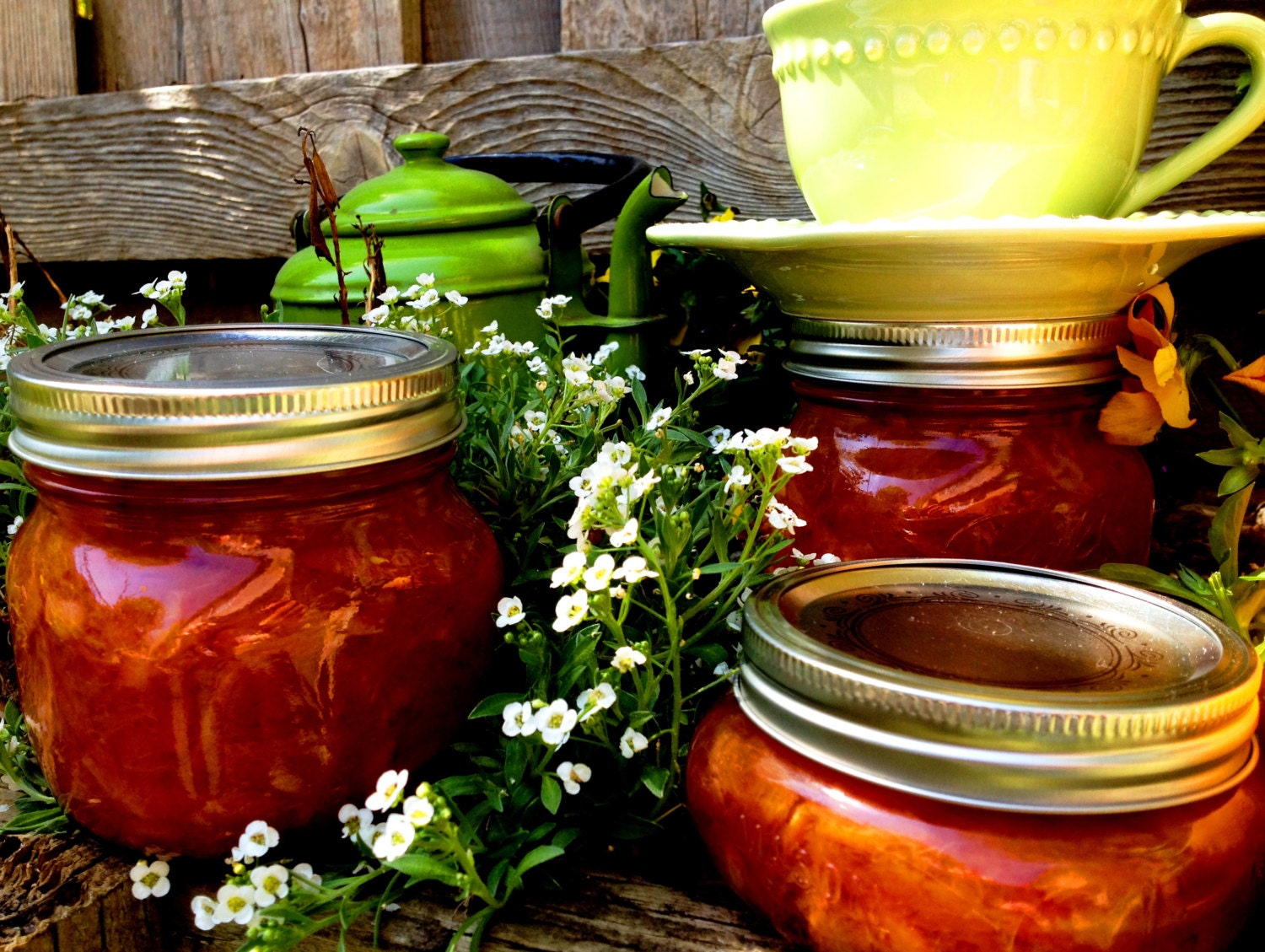 Stuck-Up Blood Orange Marmalade, Organic, Small Batch