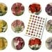 Vintage Flowers (48) 1" Circle Digital Images