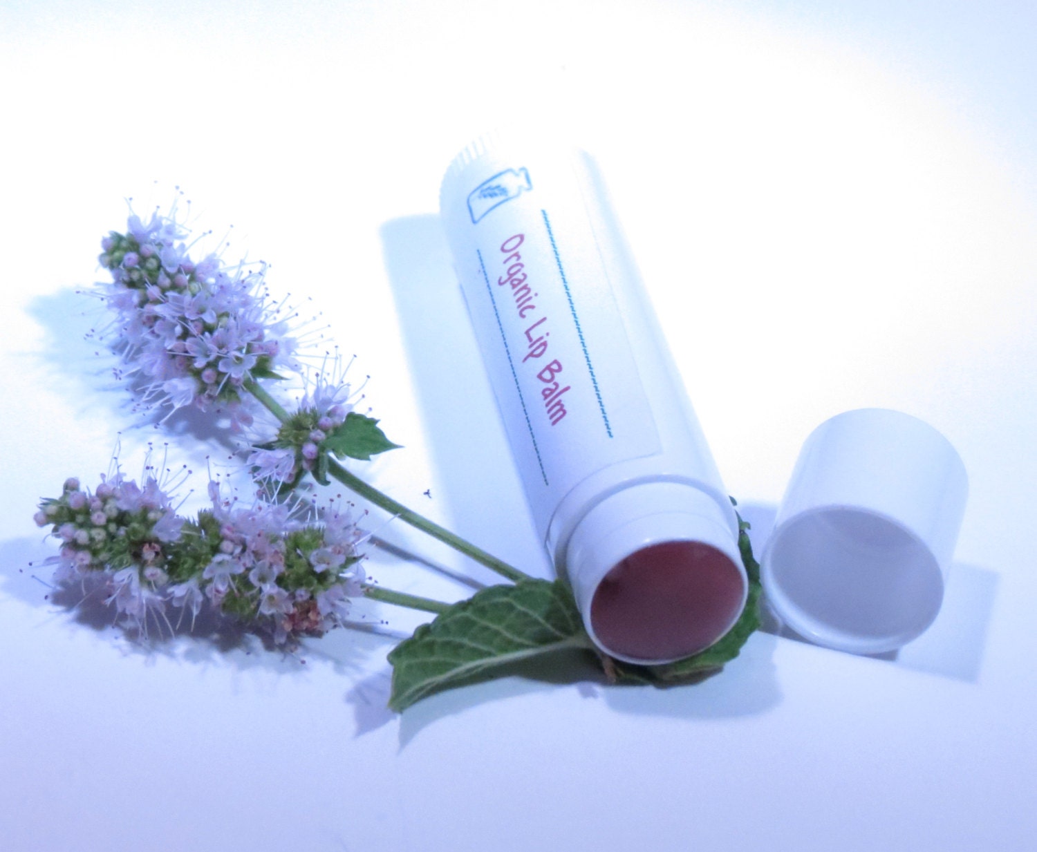 Chocolate Mint lip balm with Neem  honey ORGANIC