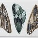 Butterfly Moth Wings Watercolor Art Painting - Archival Print - 8x10 White Moth Wings