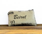 Faux Leather Pouch, Change Wallet, Money Pouch, Zipper Pouch, Taupe Cosmetic Pouch