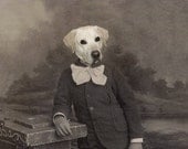 Bob - Vintage Dog 5x7 Print - Anthropomorphic - Yellow Labrador Retriever - Whimsical Art - Photo Collage -  Funny Animal Print