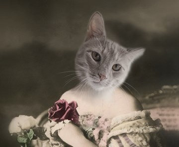 Pamela - Vintage 5x7 Cat Print - Anthropomorphic - Altered Photo - Funny Cat Print - Photo Collage Art - Whimsical Art - Gift Idea