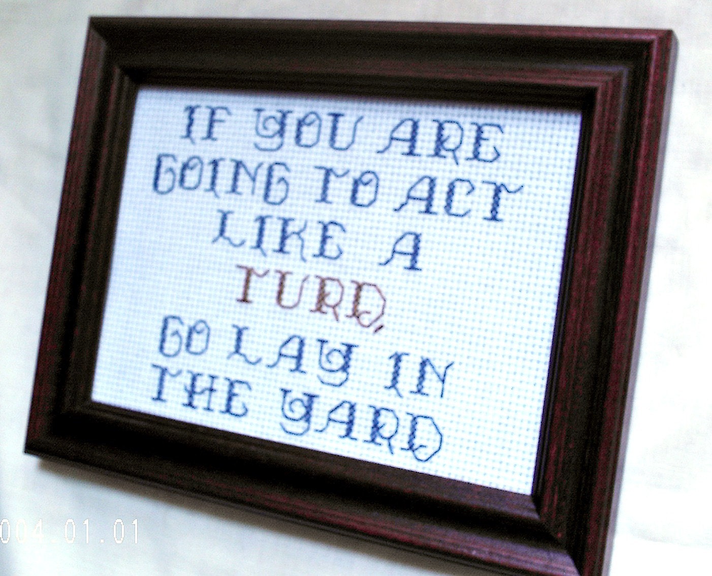 If You Are Going To Act Like A Turd Cross Stitch Sampler